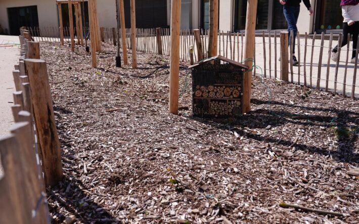 Espace dynamique avec tables, bancs et cabanes avec copeaux broyés au sol dans la cour de l’école Jean Prouvé - Crédits photo : Banque des Territoires