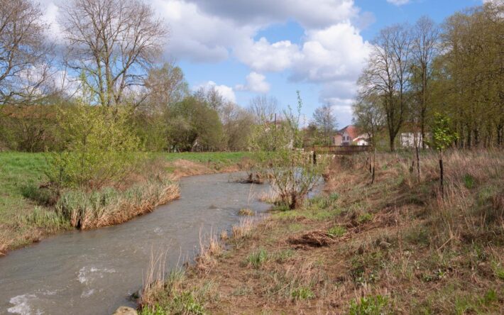 Reméandrage de l'Orne après travaux - Crédits photo : Banque des Territoires