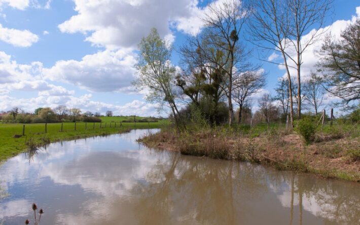 Reméandrage de l'Orne après travaux - Crédits photo : Banque des Territoires