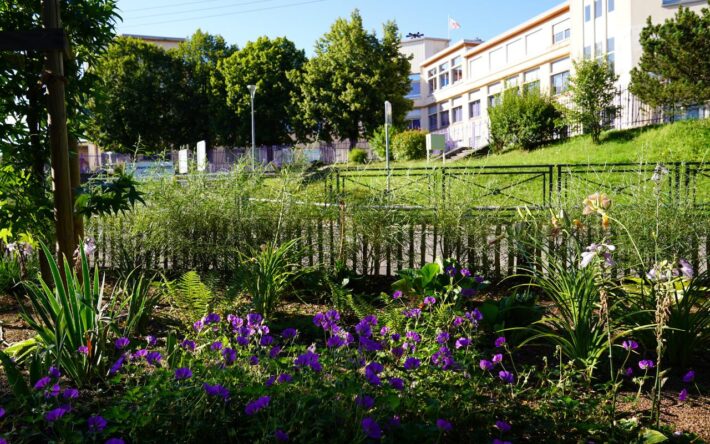 Des aménagements floraux ont été réalisés devant l’école afin de créer une zone apaisée et sécuriser les abords. Crédits photos : Banque des Territoires