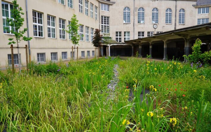 70 arbres ont été plantés pour faire de l’ombrage sur le bâtiment et rafraîchir les classes pourvues de grandes baies vitrées - Crédits photo : Banque des Territoires