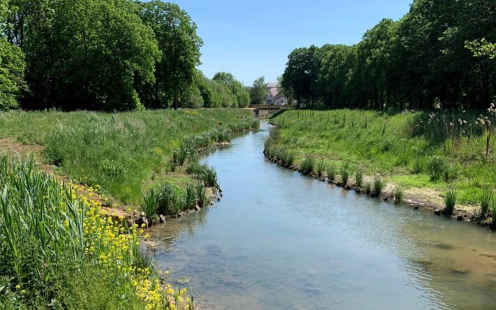 Le béton a disparu sur l'ancien site de la baignade - Crédits photo : Banque des Territoires