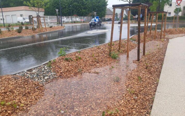 exemple d’infiltration de l’eau de pluie dans une noue