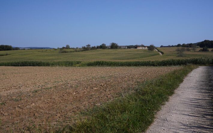 La ferme Tuetey située sur les hauteurs de Beutal est aujourd’hui alimentée grâce au passage de la canalisation de raccordement. Avant l’agriculteur était contraint à des voyages journaliers pour pomper l’eau en amont de l’étang de Beutal - Crédits photo : Banque des Territoires