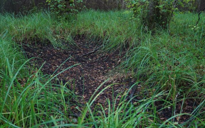 En raison des canicules, certaines mares sont sans eau - Crédits photo : Banque des Territoires