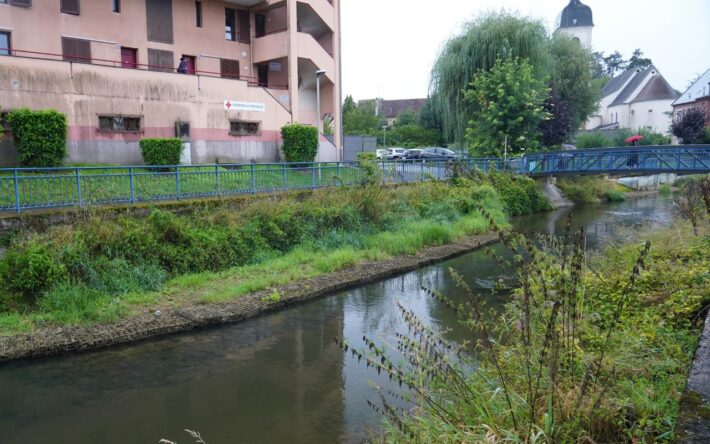 Grâce au reméandrement, l'Allaine s'écoule plus lentement, les barrettes en cage à gabion favorisent l’oxygénation et retiennent les sédiments - Crédits photo : Banque des Territoires