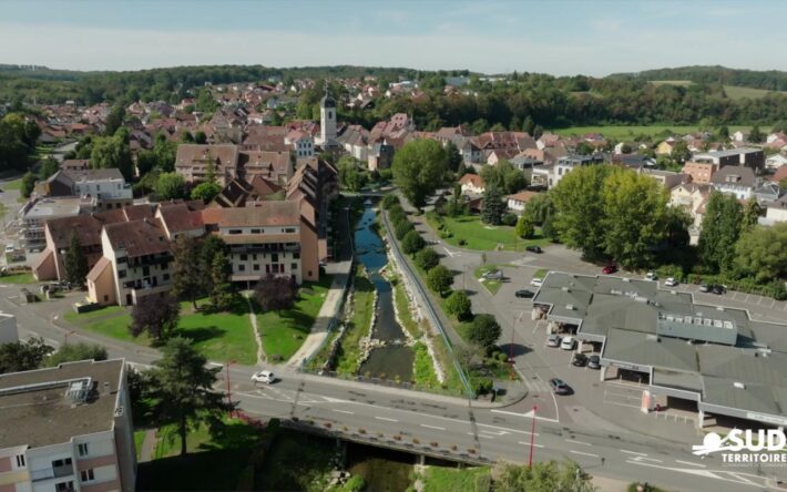 Le lit et les berges ont été aménagés avec précaution et respect afin de permettre la création d'habitats pour la faune - Crédits photo : Communauté de communes du Sud Territoire