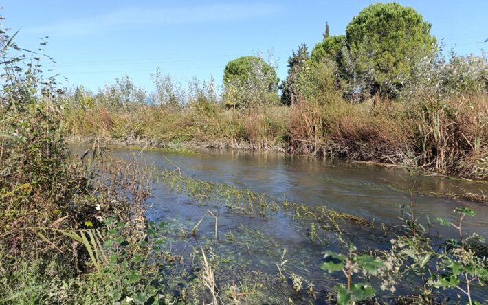 Restauration de la rivière - Crédits photo : Banque des Territoires