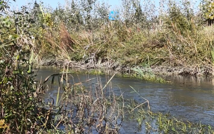 Restauration de la rivière - Crédits photo : Banque des Territoires