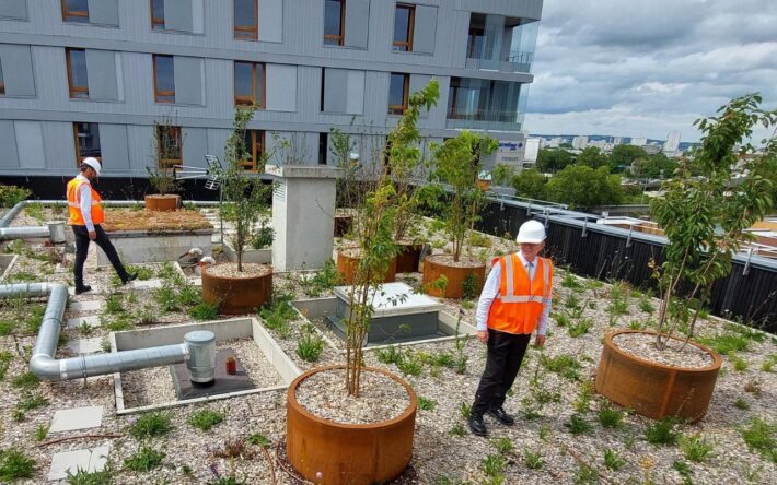 Les différents aménagements végétalisés OASIS (jardinières, platelage, dallage), en toiture-terrasse installés sur les sous-bacs support– Crédits photo : Le Prieuré