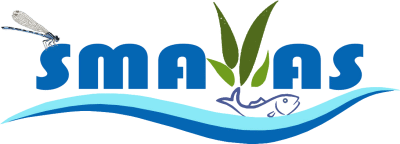 Smavas