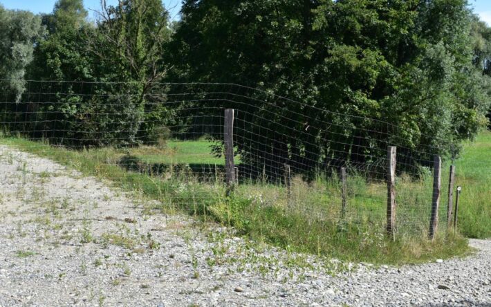 Les habitants ont vu leur terrain se transformer pour lutter contre le risque d’inondation – Crédits photo : Syndicat Rivières de Haute-Alsace