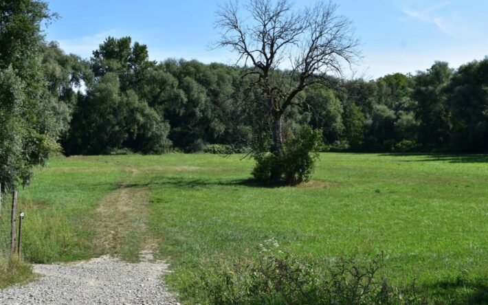 La zone inondable est désormais étendue – Crédits photo : Banque des Territoires