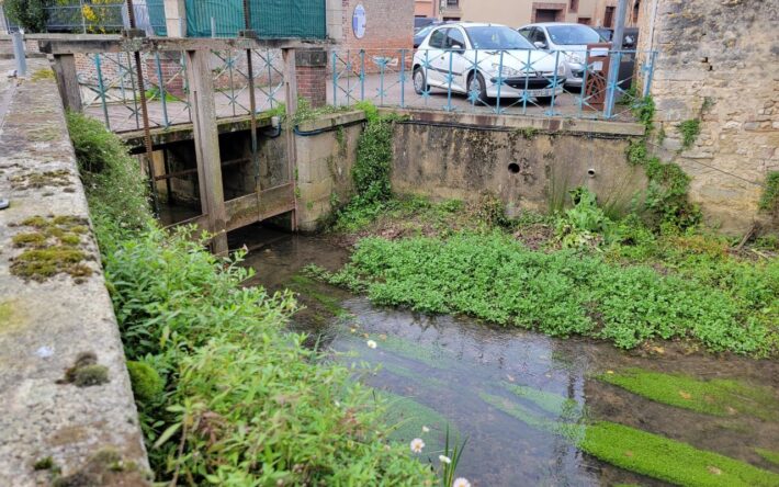 Là où les vannes étaient closes avant le projet, elles sont désormais ouvertes pour rétablir les écoulements et la circulation des espèces piscicoles -
Crédits photo : Banque des Territoires