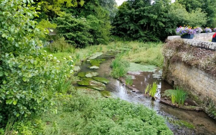 Avec la renaturation du cours d’eau, la végétation a repris ses droits - Crédits photo : Banque des Territoires
