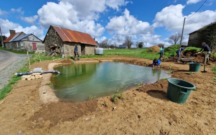 Après plusieurs mois, la végétation de la mare s’est développée et l’objectif de biodiversité est atteint - Crédits photo : La Gerberie
