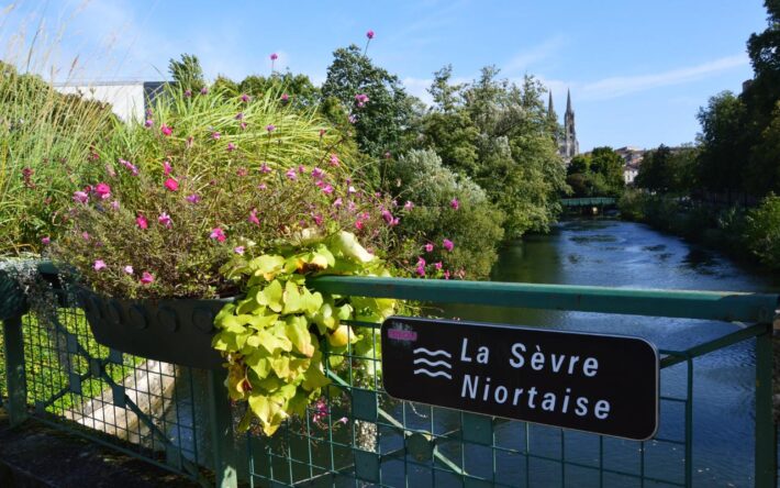 Vues sur Niort, ville-préfecture traversée par la Sèvre niortaise - Crédits photo : Banque des Territoires