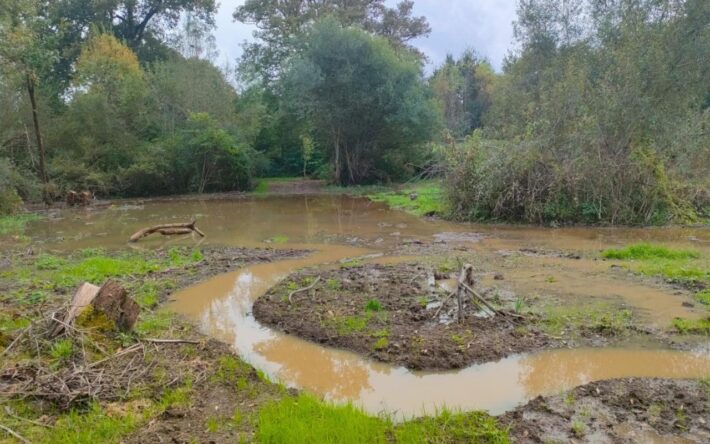 Le reméandrage du ruisseau de la Patouillère ralentit l’écoulement et favorise l’expansion du ruisseau - Crédits photo : Banque des Territoires