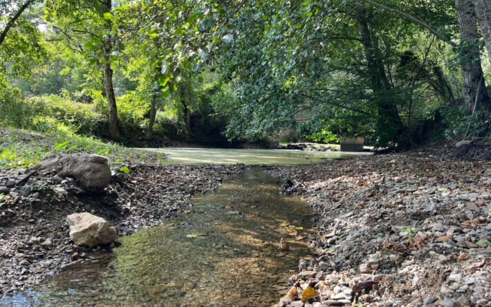 Environ 2 200 plans d’eau sont recensés sur le rayon d’action du SMBVSN - Crédits photo : SMBVSN