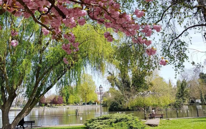 Le jardin du Petit Lac de Saint-Gratien -
Crédits photo : Mairie de Saint-Gratien