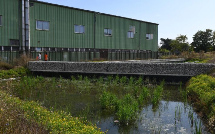 Vue sur les Jardins filtrants© du site, qui permettent une filtration naturelle de l’eau - Crédits photo : SIARE