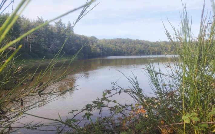 Sur 114 hectares et 8 km de long, le lac du Jaunay constitue un site touristique et de loisirs (pêche, promenades, nautisme...) Crédits photo : Banque des Territoires