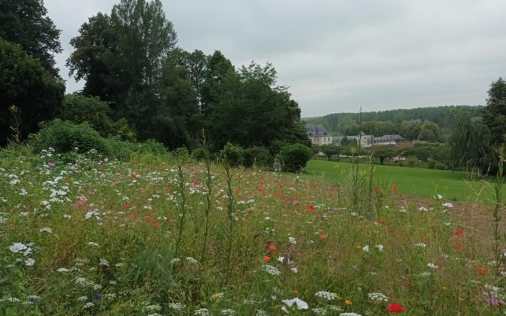 agence-eau-artois-picardie-academie-eau-solutions-nature-projet-aquagir