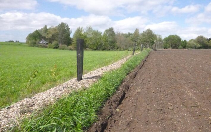 Un talus en bordure de parcelle, photographié juste après son aménagement – Crédits photo : Banque des Territoires