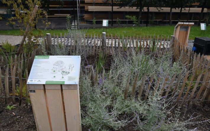 Le jardin de pluie permet de gérer les eaux pluviales de voiries et/ou de toiture - Crédits photo : Banque des Territoires