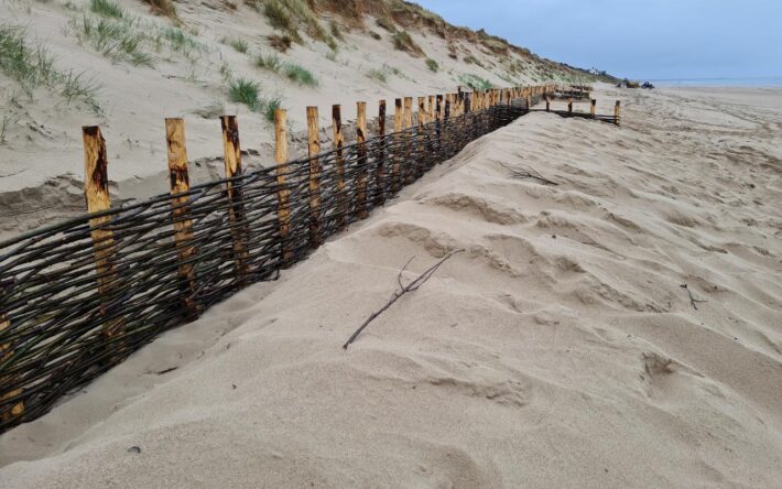 Des fascines venant juste d’être posées (à Créances, avril 2022) – Crédits photo : CC Côte Ouest Centre Manche