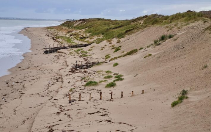 Pirou, 3 mois après l’implantation de fascines - Crédits photo : CC Côte Ouest Centre Manche