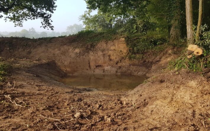 Même mare après restauration en 2021 – Crédits photo : Saint-Lô Agglo