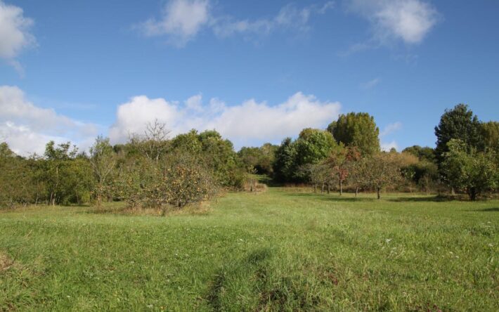 Une colline accentue l’effet de ruissellement dans la commune – Crédits photo : Banque des Territoires