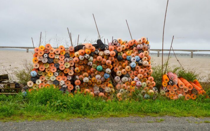 Les coupelles des collecteurs d’huîtres font partie des déchets des professionnels du secteur – Crédits photo : Banque des Territoires