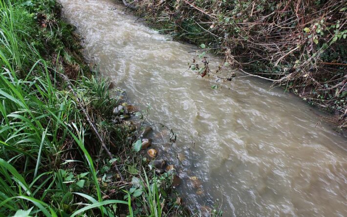 Les galets déposés au fond du lit réduisent l’intensité d’onde de crue - Crédits photo : Banque des Territoires