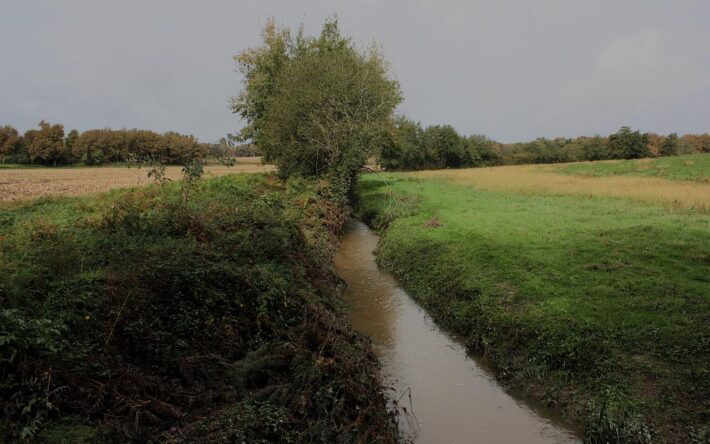 Le ruisseau du Pesqué, un affluent de l’Adour rechargé en granulats - Crédits photo : Banque des Territoires