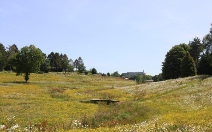 Projet de  La Fouquerie avec  renaturation avec suppression de la route après travaux - Crédits photo : Flers Agglo