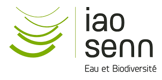 Iaosenn