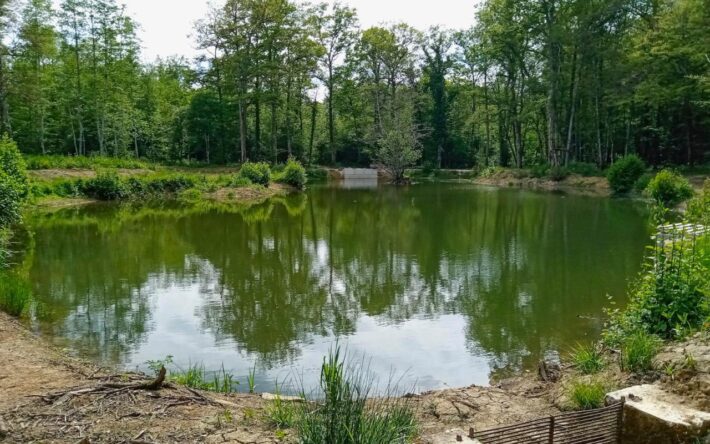 Une fois les travaux terminés, le plan d'eau de Valleroy retrouve sa quiétude - Crédits photo : Banque des Territoires