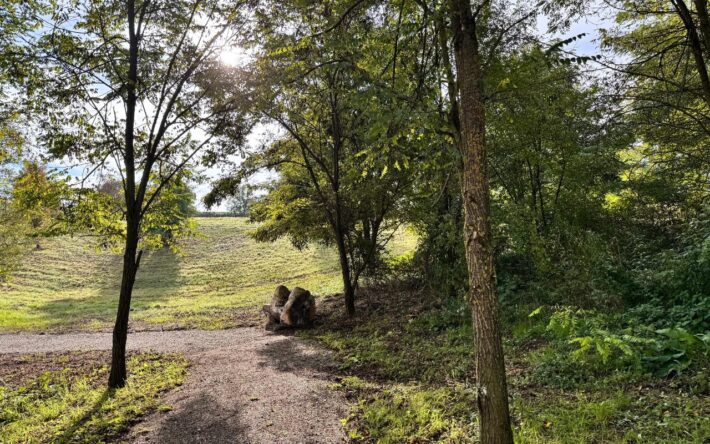Ce projet s'inscrit pleinement dans une démarche environnementale et écologique, répondant aux défis climatiques actuels - Crédits photo : Mairie de Sierentz