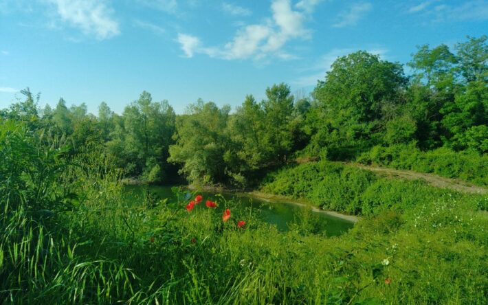 L'inspiration principale provient de la nature elle-même, en tenant compte de la topographie et du potentiel du site - Crédits photo : Mairie de Sierentz