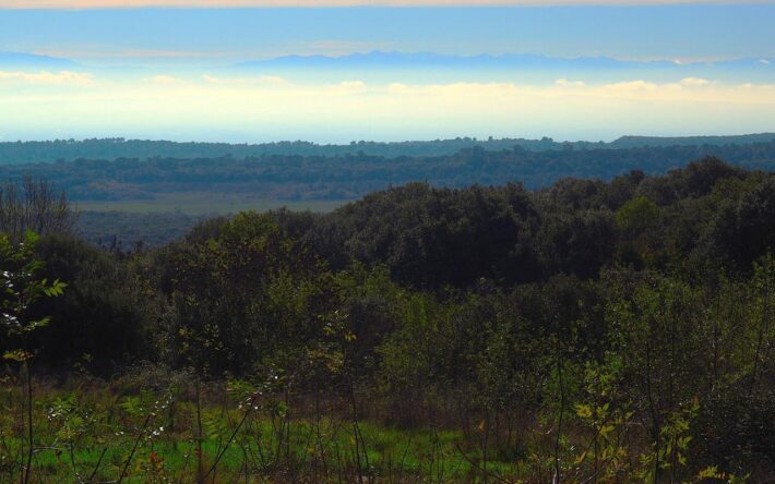 Paysage de l’Aude, les Pyrénées à l’arrière-plan  - Crédits photo : Banque des Territoires