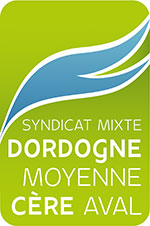 SMDMCA