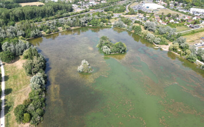 Bassin du Carouge en juillet 2023 avec une efflorescence algale - Crédits photo : Sophie Arnaud Charron