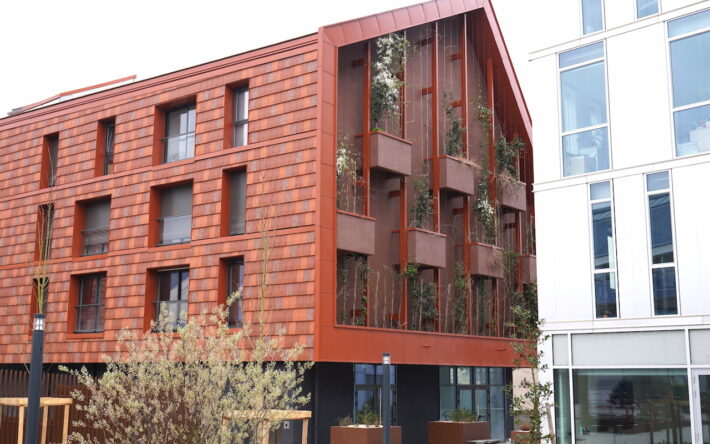 Les façades des immeubles du quartier Viotte sont de vraies végétalisations. L'eau pluviale est stockée dans ces gros pots de fleurs pour une première temporisation - Crédits photo : Banque des Territoires