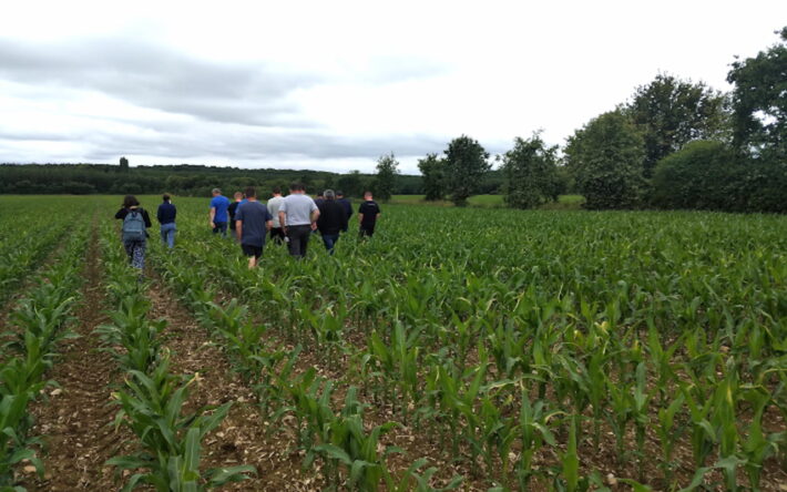 Journée portes ouvertes sur une exploitation agricole de l’aire d’alimentation de captage de Saffré en 2022 - Crédits photo : atlantic’eau