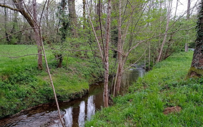 Le projet a permis d'acquérir une connaissance approfondie de la qualité des masses d’eau depuis plus de vingt ans, comme ici celles de la Vézère - Crédit photo : Banque des Territoires