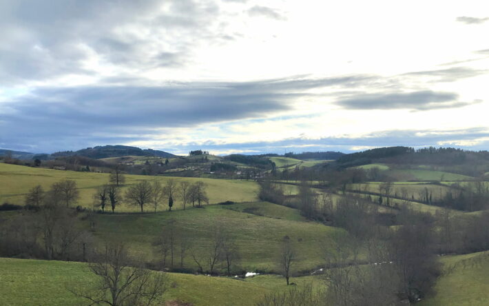 Paysage du PTGE Allier Aval - Crédits photo : Banque des Territoires