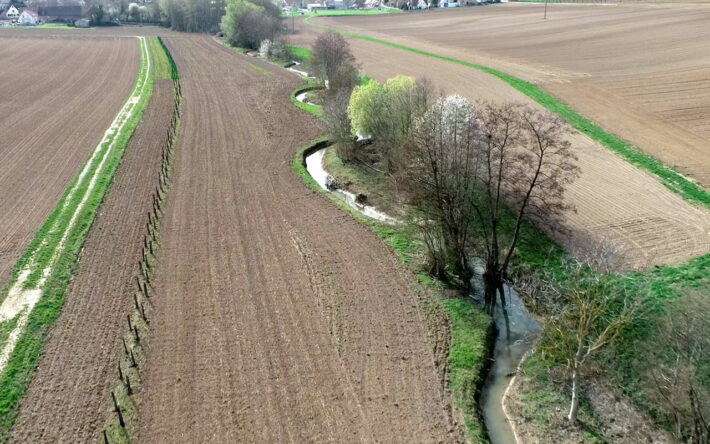 Les nouveaux méandres de la Souffel à Stutheim-Offenheim - Crédit photo : SDEA