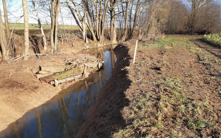 Un nouveau méandre et un embâcle sur la Souffel - Crédit photo : Jean-Charles Lambert